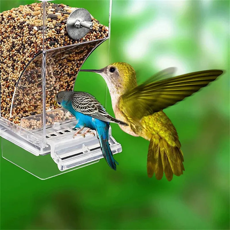 No Mess Bird Feeders Automatic Feeder Drinker