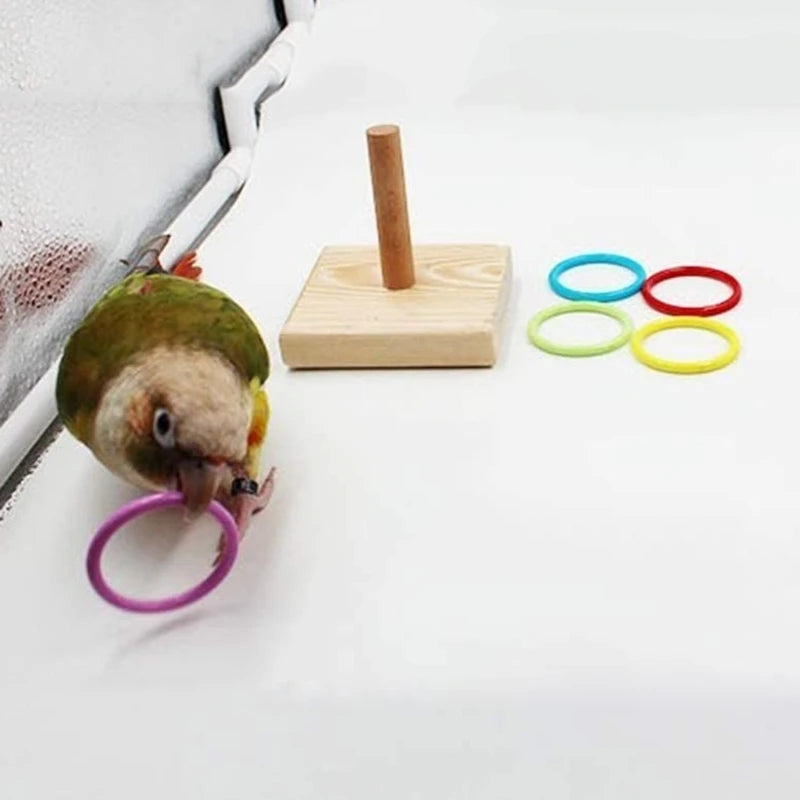 Bird Training  Wooden Block Puzzle  Colorful Plastic Rings