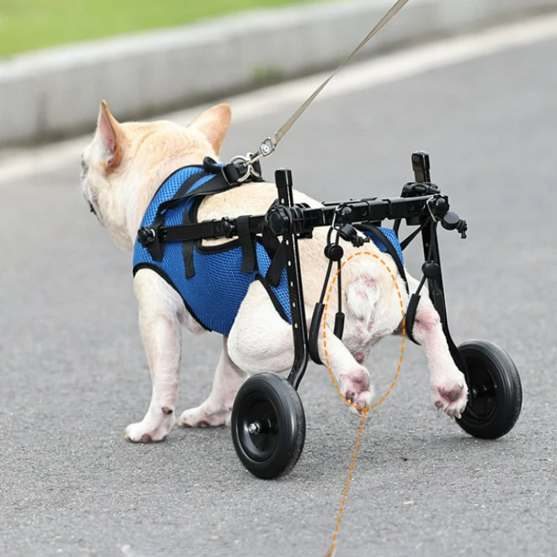 Aluminum Alloy Pet Dog Wheelchair, Dog Rehabilitation Walking Assistance Carts, Pet Dog Leg Disability Walking Aid Scooter