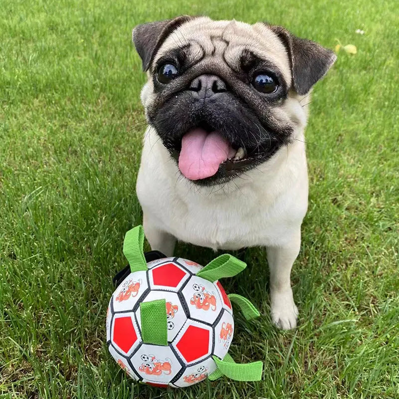 Football For Dogs Outdoor Training  Bite Chew - specialneedspetshop