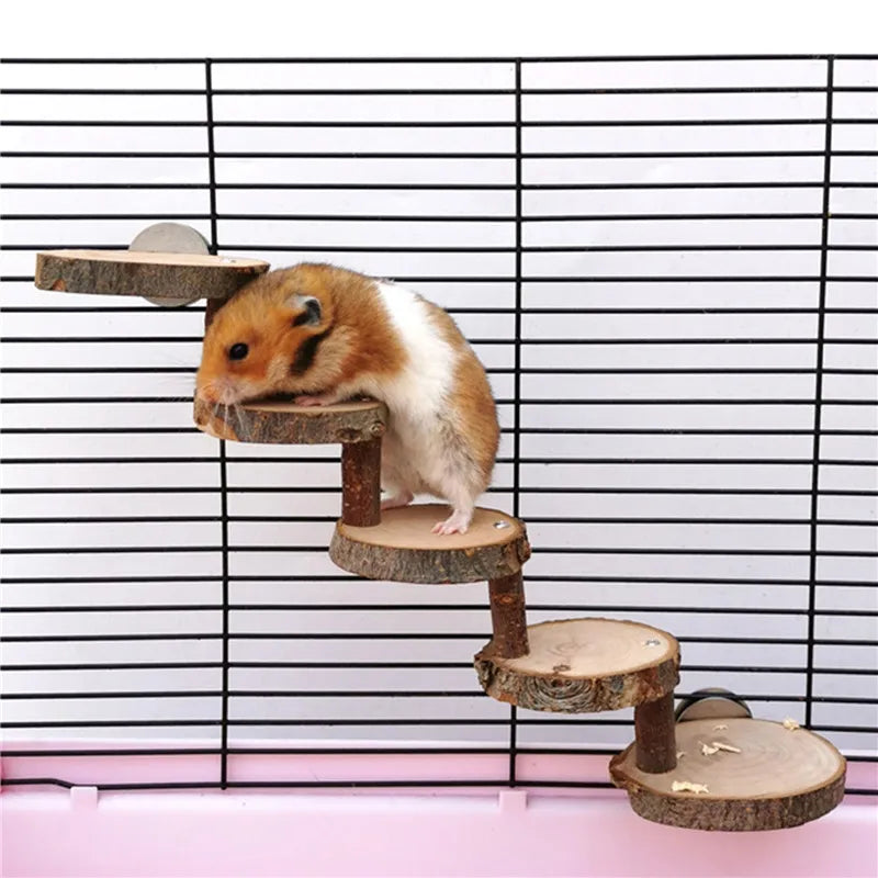 Hamster Wooden Climbing Stairs Exercise - specialneedspetshop