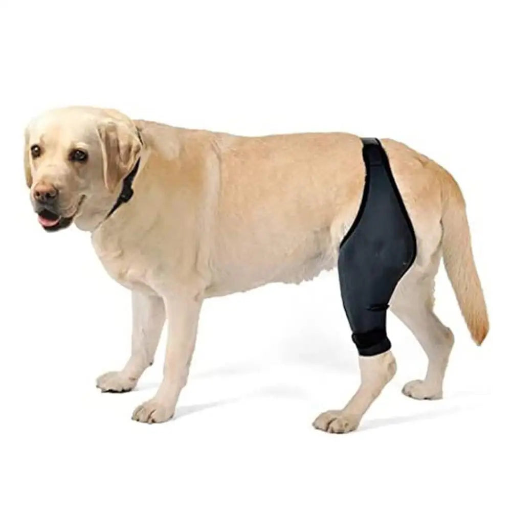 Pet Dog Knee Brace For Joint   Leg Brace Rear Leg Brace