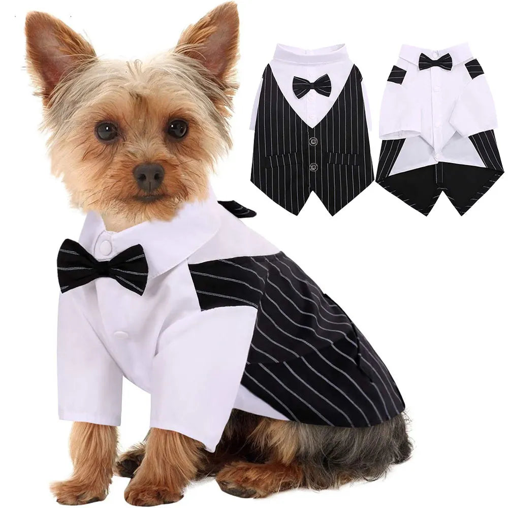 Boy Dogs Tuxedo Suit with Bow-tie