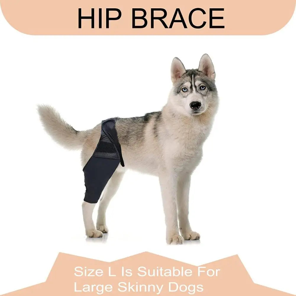 Pet Dog Knee Brace For Joint   Leg Brace Rear Leg Brace