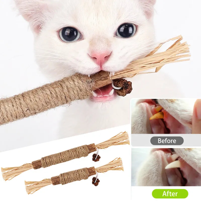 Cat Chew Stick Natural Stuff with Catnip  Cleaning Teeth