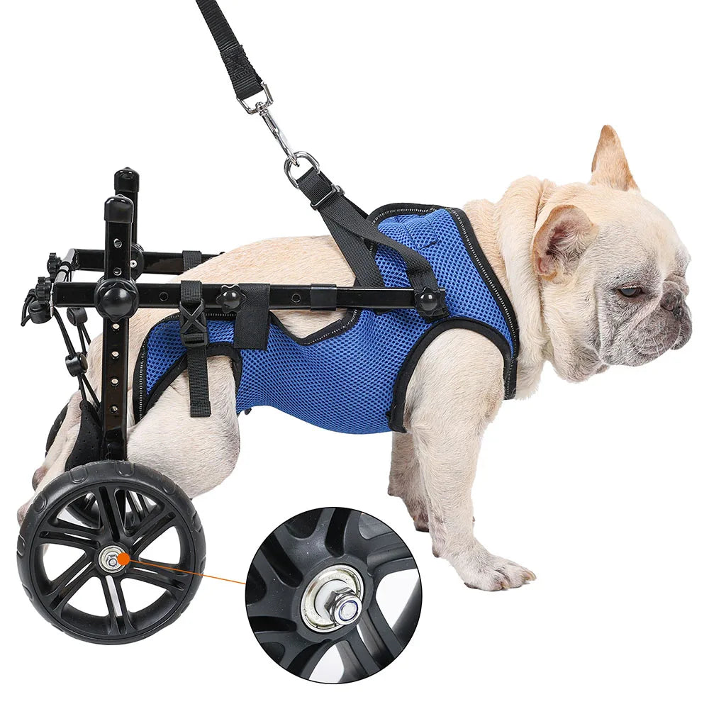 Dog Wheelchair Hind Limb Paralysis Injury Weakness Assist