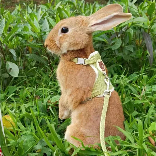 Rodent Harness and Leash  Vest Harnesses