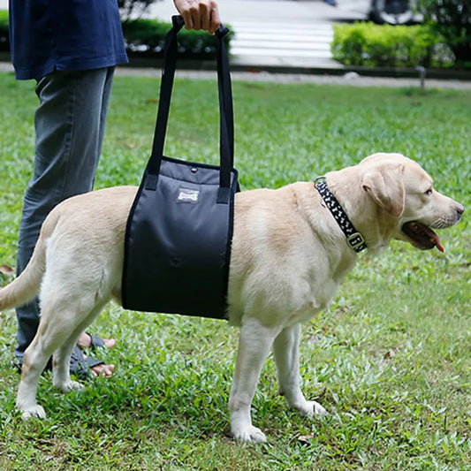 Sling  Back Legs Hip Support Harness to Lift Dogs - specialneedspetshop