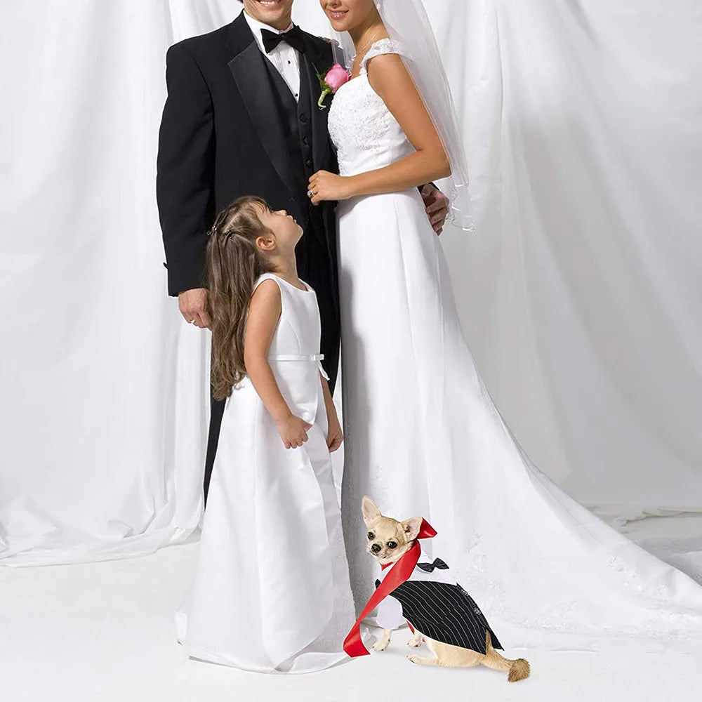 Boy Dogs Tuxedo Suit with Bow-tie