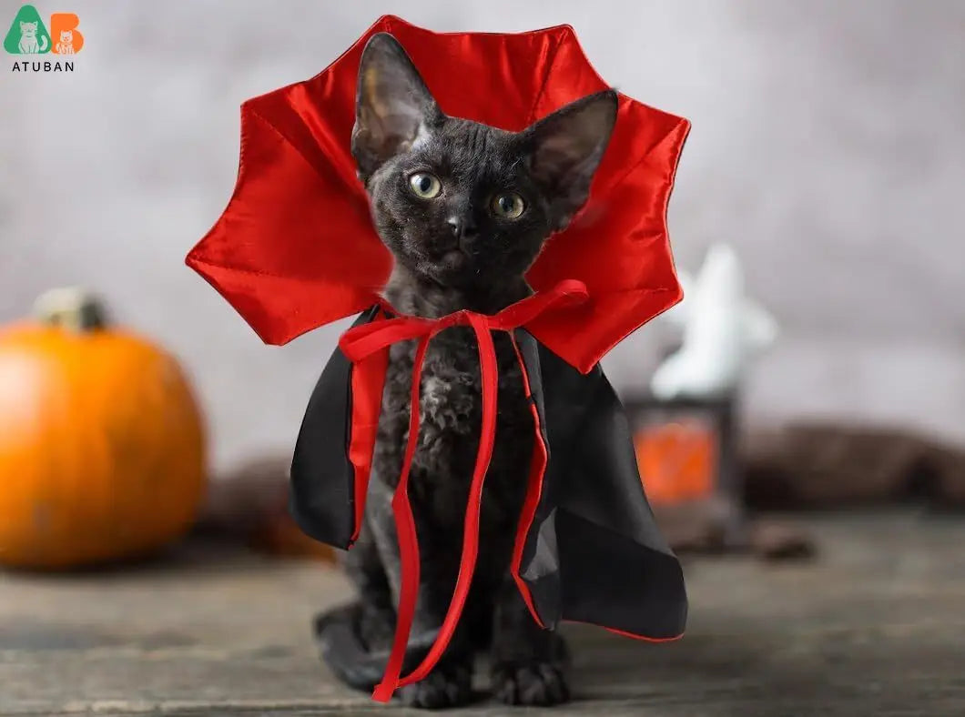 Cat Vampire Cloak Costume Adjustable  Cape Costume