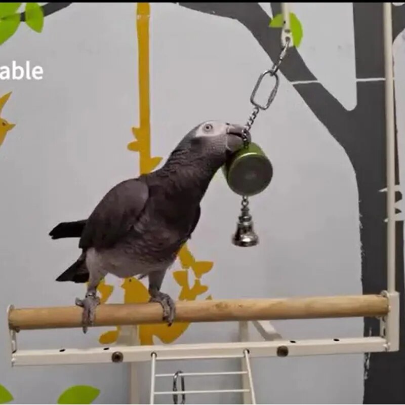 Parrot Talking Coach Interactive Recording Electronic Voice - specialneedspetshop