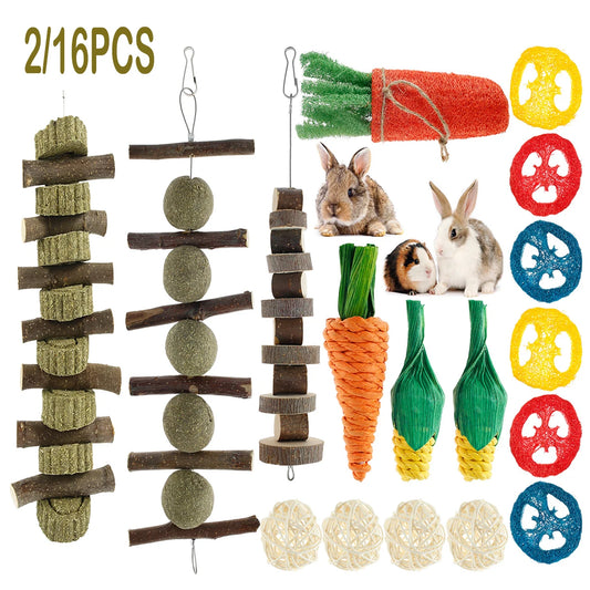 2/16PCS Natural Pet Rabbit Guinea Pig Chew Toys Set Tooth Grinding Snacks