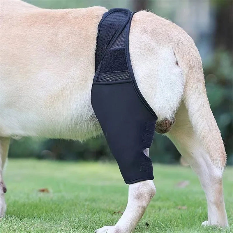 Pet Dog Knee Brace For Joint Pain   Leg Brace Rear Leg   Support