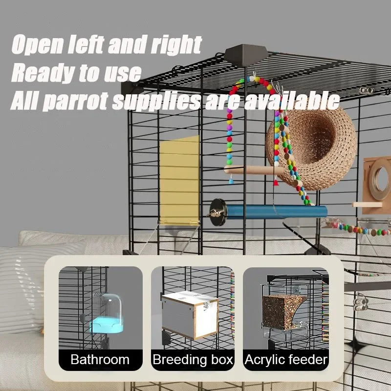 Multiple Small Birds Flight  Bird Cage Large Space