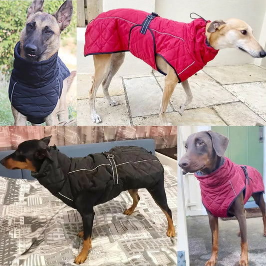 Dog Outdoor Jacket Waterproof Reflective Coat Warm Cotton for Large Middle Dogs