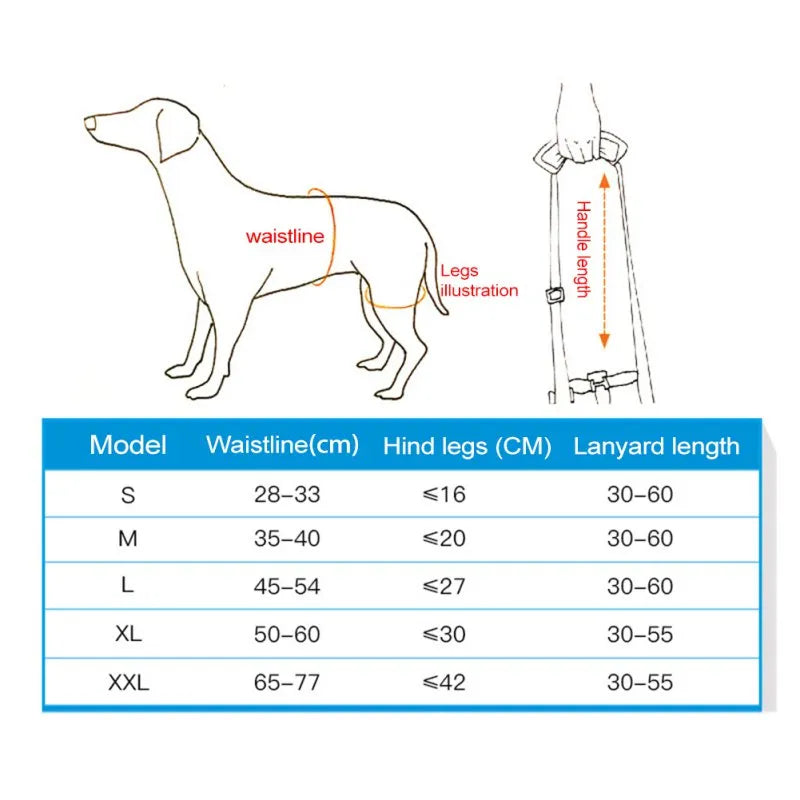 Support Harness for Legs Lifting Dogs with Disabilities - specialneedspetshop