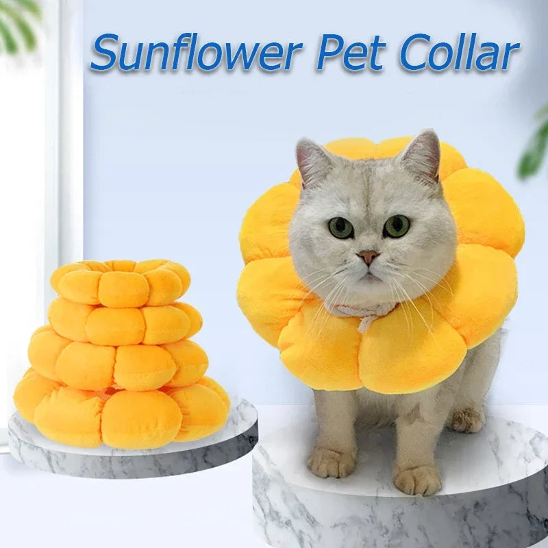 Anti-Bite Surgery Anti-Lick Wound Healing Protection Collar Cats