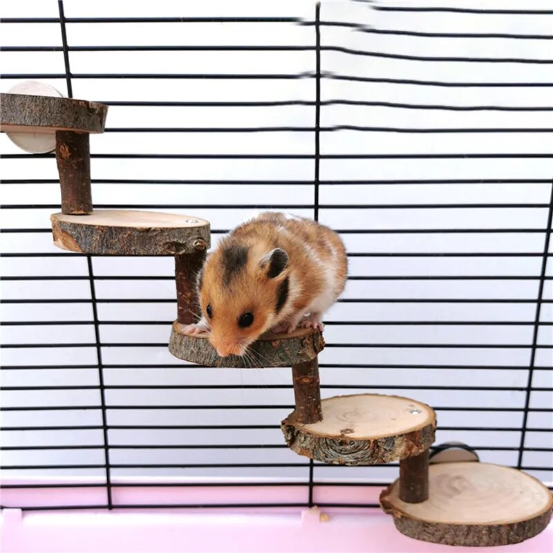 Hamster Wooden Climbing Stairs Exercise - specialneedspetshop