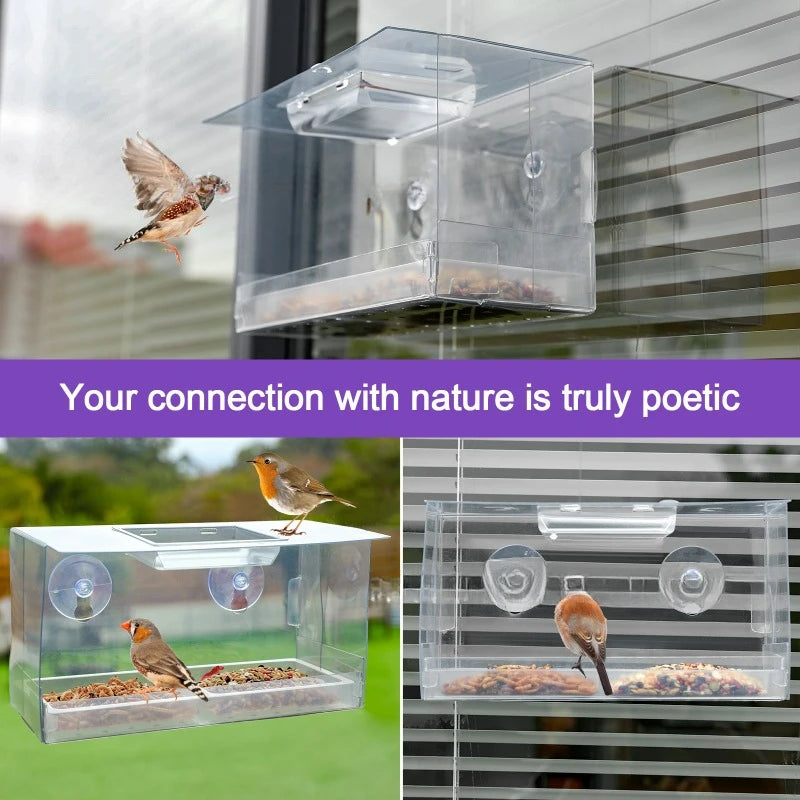 Acrylic Suction Cup Bird Feeder  Hanging Window Feeder Pet Supplies