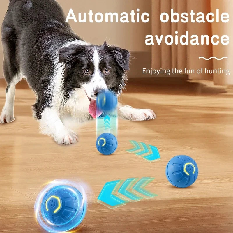 Dog Toy Ball   Interactive Jumping Ball  Automatic Rolling Balls