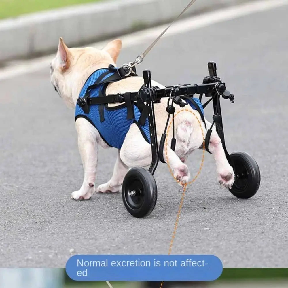 Adjustable Dog Wheelchair Hind Limb Hind Leg Disabled  Cat Dog Mobility Aid