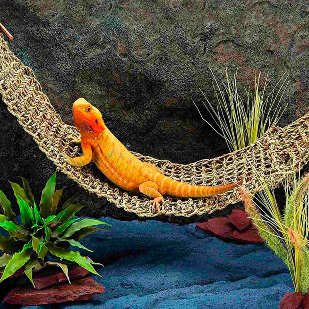 Reptile Hammock Terrarium Decoration For Lizard Lounger