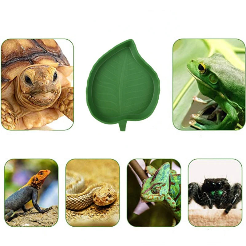 Reptile Leaf Shape Dish Reptile Food Water