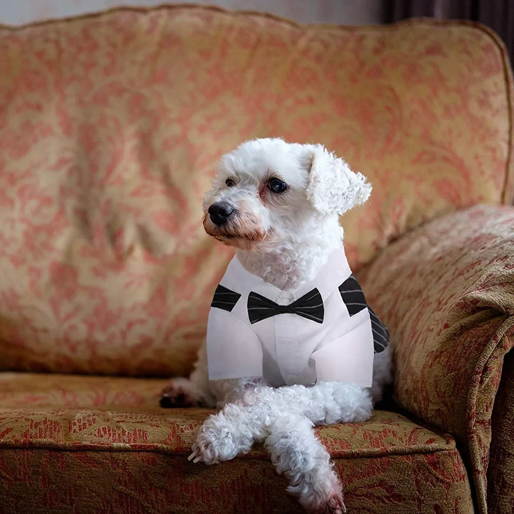 Boy Dogs Tuxedo Suit with Bow-tie