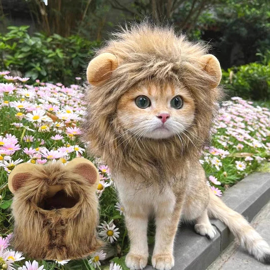 Cat Costume   Lion Mane Cat Wig Hat