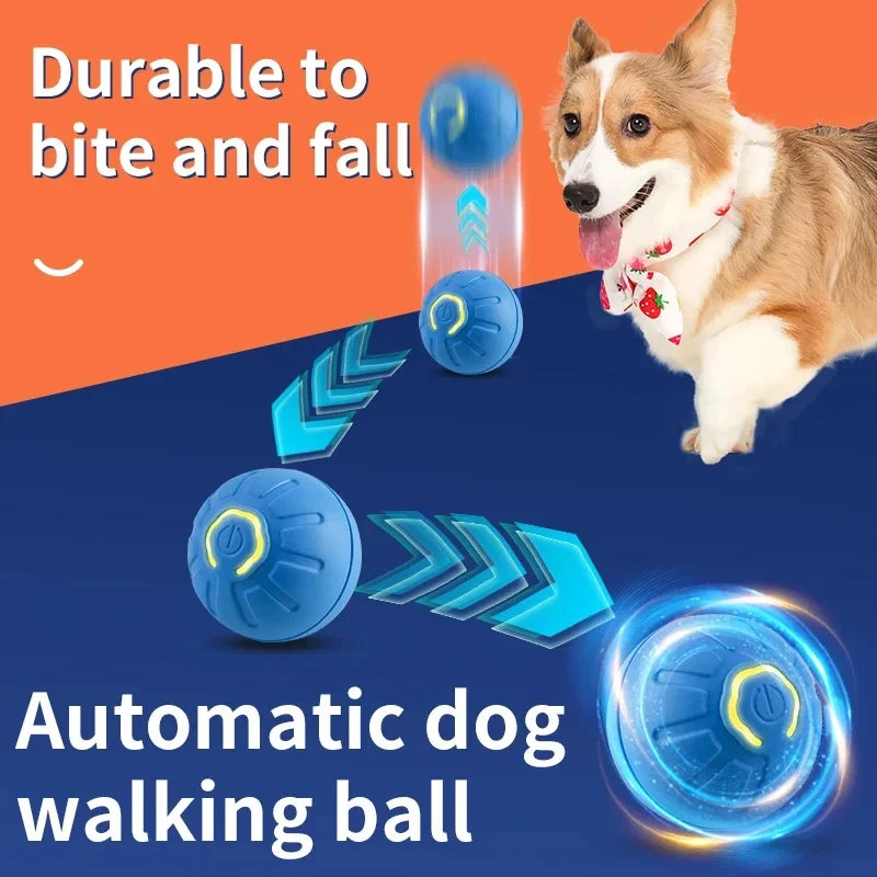 Dog Toy Ball   Interactive Jumping Ball  Automatic Rolling Balls