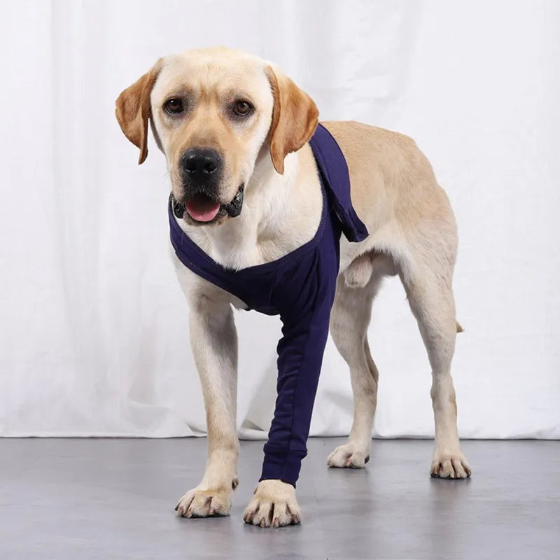 Dog Support Brace Front Joint Wrap Recover Sleeve - specialneedspetshop