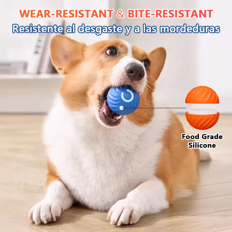 Dog  Electronic Interactive Moving Ball Automatic - specialneedspetshop