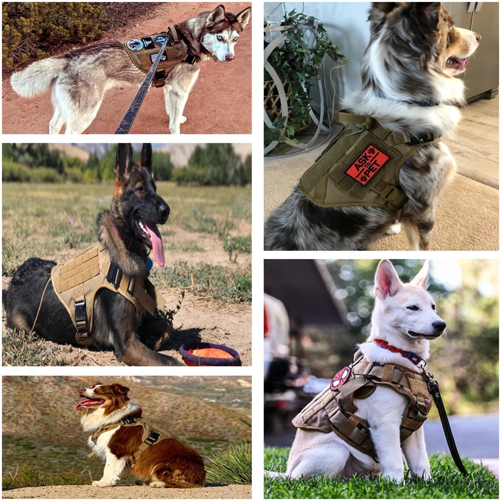 Military Large Dog Harness  Training Vest Tactical Dog Harness And Leash Set