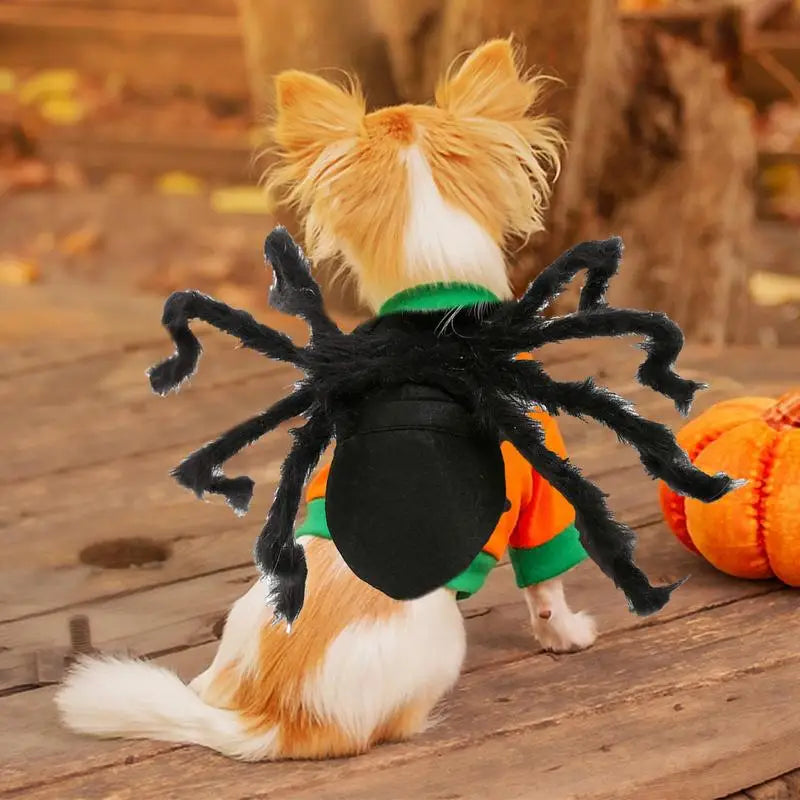 Black Spooky Spider Clothes  For Dogs Cats