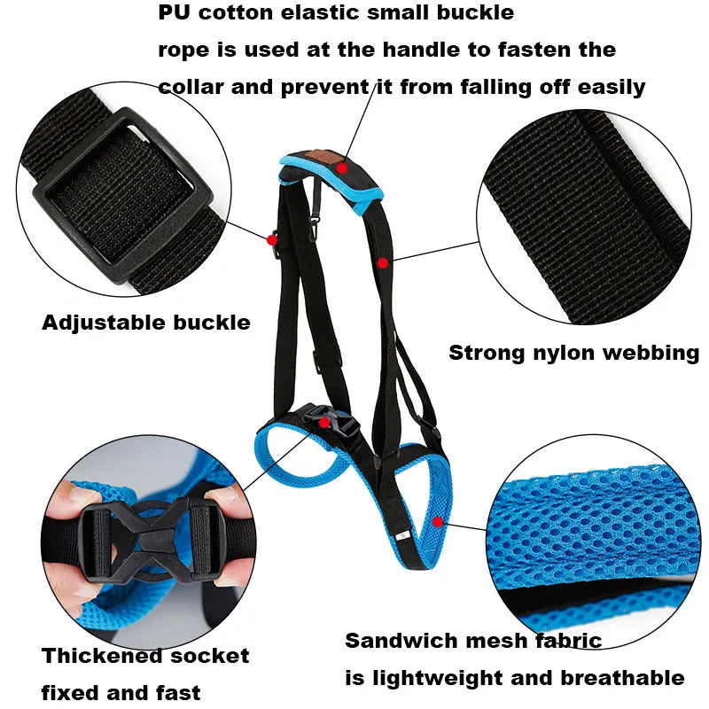 dog leg brace hind legs assistive straps - specialneedspetshop