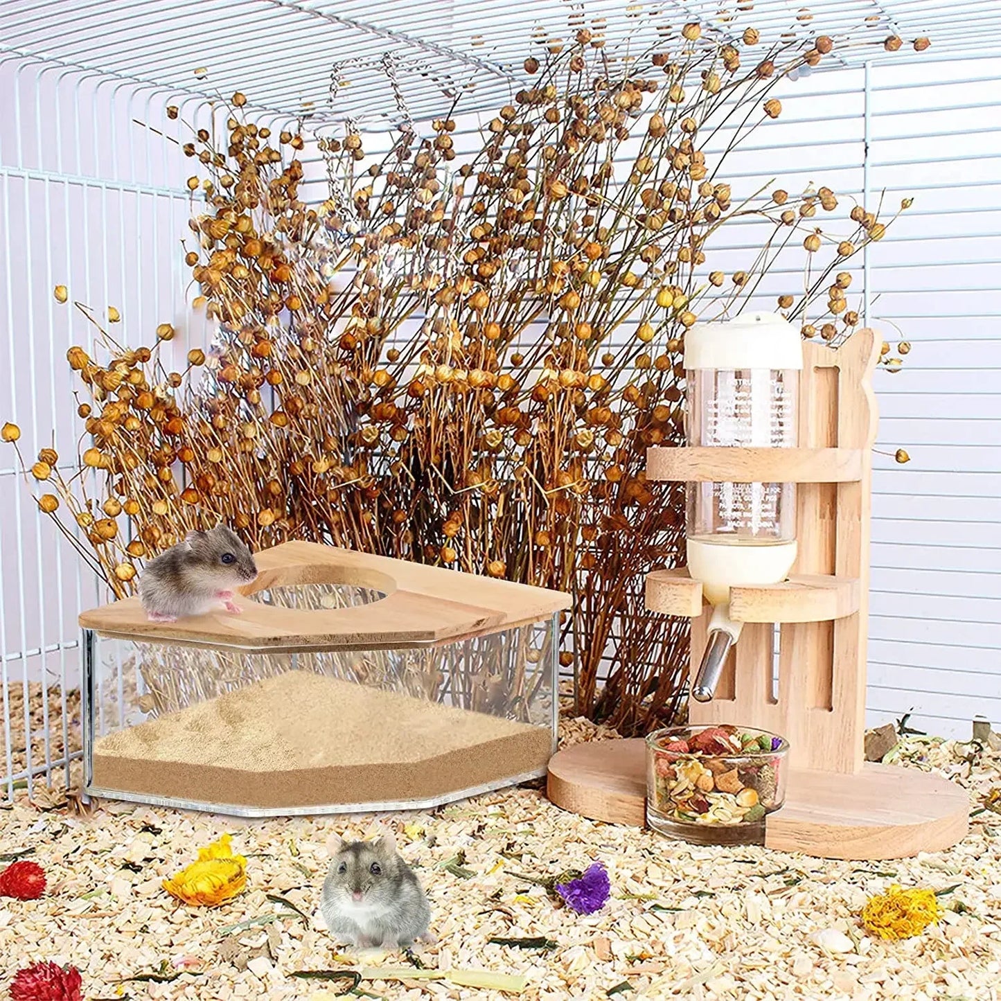 Hamster Bathroom House Sandbox Full Transparent