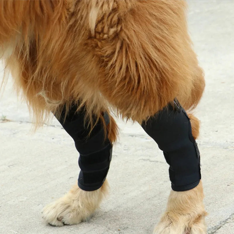 Dog Knee Brace Front  Rear Leg Joint - specialneedspetshop