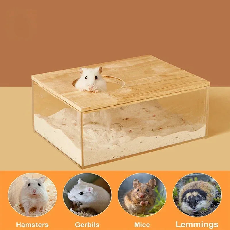 Hamster Bathroom House Sandbox Full Transparent