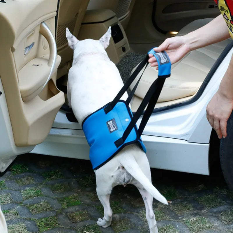 Sling  Back Legs Hip Support Harness to Lift Dogs - specialneedspetshop