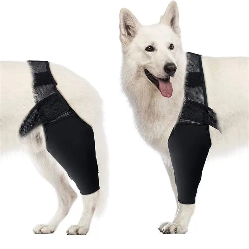 Pet Dog Knee Brace For Joint Pain   Leg Brace Rear Leg   Support