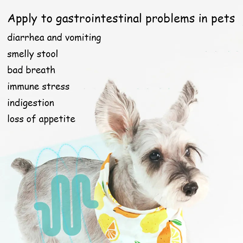 Probiotics for Cats ,Dogs Diarrhea, Vomiting, Improve Appetite - specialneedspetshop