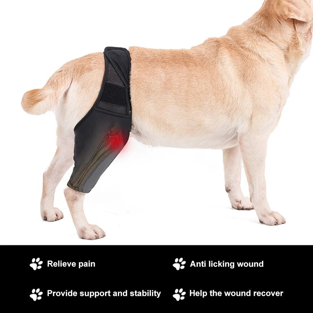 Dog Knee Support Breathable Injury support - specialneedspetshop