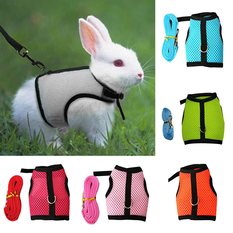 Pet Mesh Soft Harness With Leash   Small Animal Vest