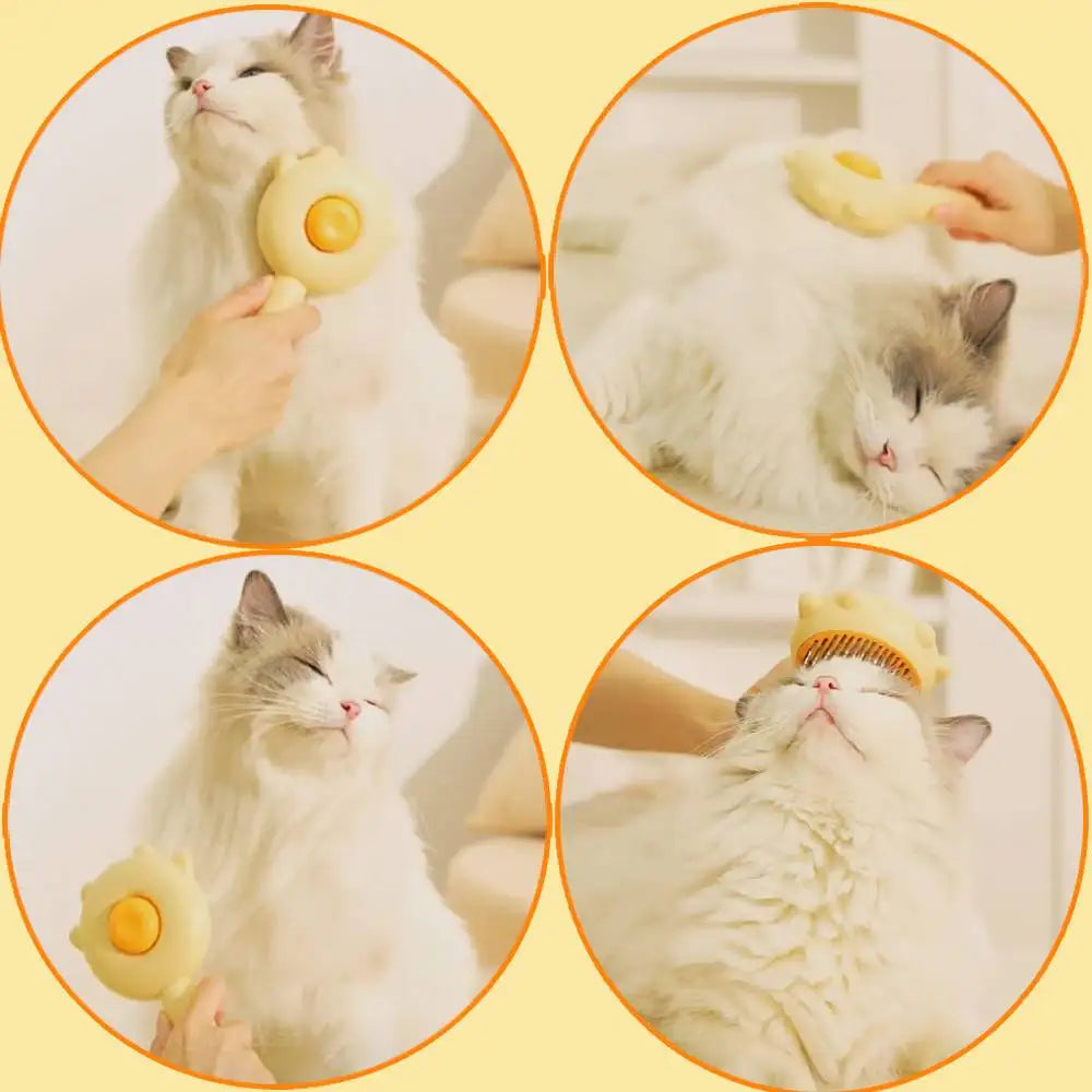 Cat Brush Pet Hair Removal Brush