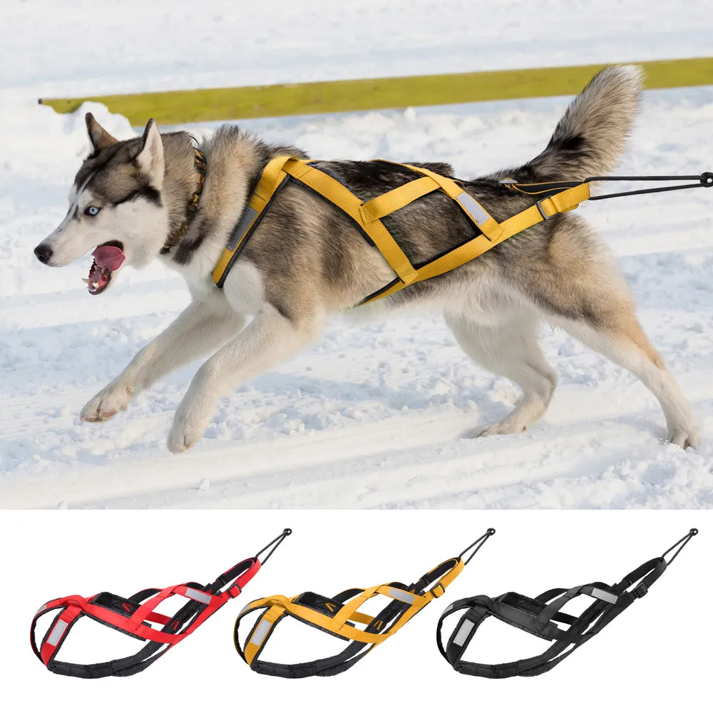 Dog Sled Harness Pulling Mushing X Back Harness For Large Dogs