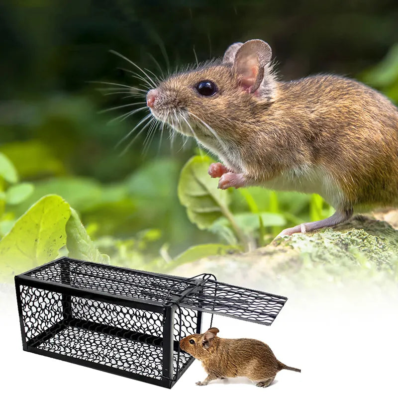 Smart Self-locking Rat Trap Reusable Heavy Duty - specialneedspetshop