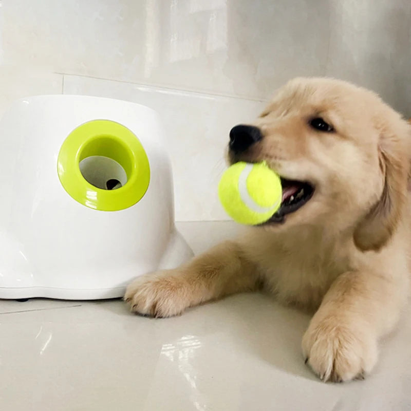 Dog  Tennis Ball Launcher Machine Automatic Throw