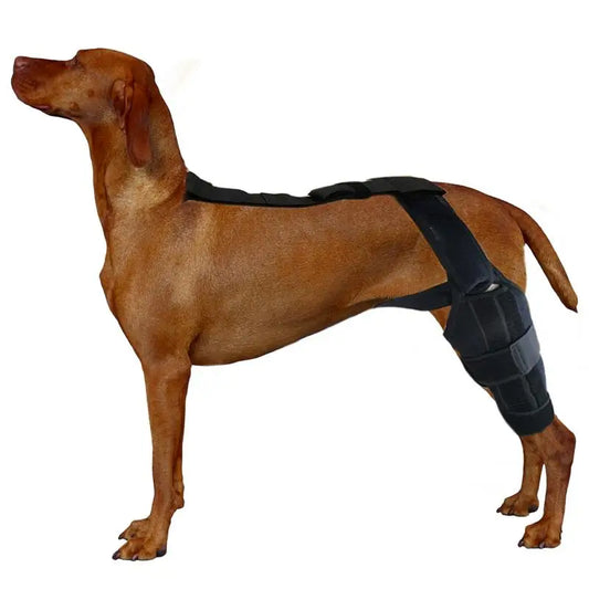 Dog ACL Knee Brace Dog Rear Leg Stabilizer  Adjustable Traction Belt