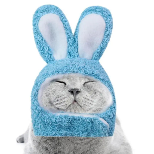 Rabbit Hat With Ears For Cats Small Dogs - specialneedspetshop