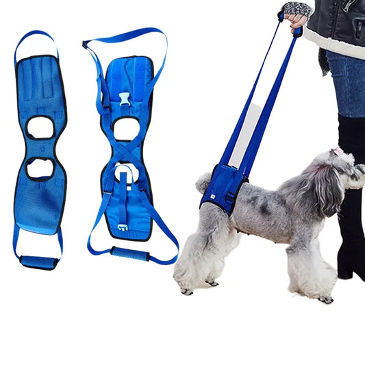 Support Harness for Legs Lifting Dogs with Disabilities - specialneedspetshop